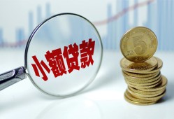 深圳29哪里可以小额贷款-深圳29哪里有民间借贷-深圳29民间短期私借借款