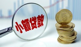 深圳29哪里可以小额贷款-深圳29哪里有民间借贷-深圳29民间短期私借借款